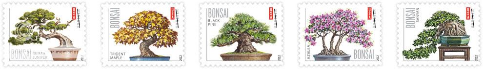 f-2012-bonsai.jpg