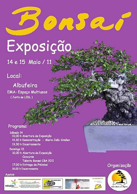 Cartaz-ExposioCBA2011.jpg