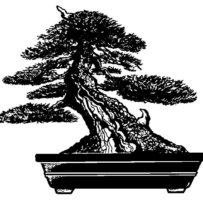 www.portlandbonsai.org