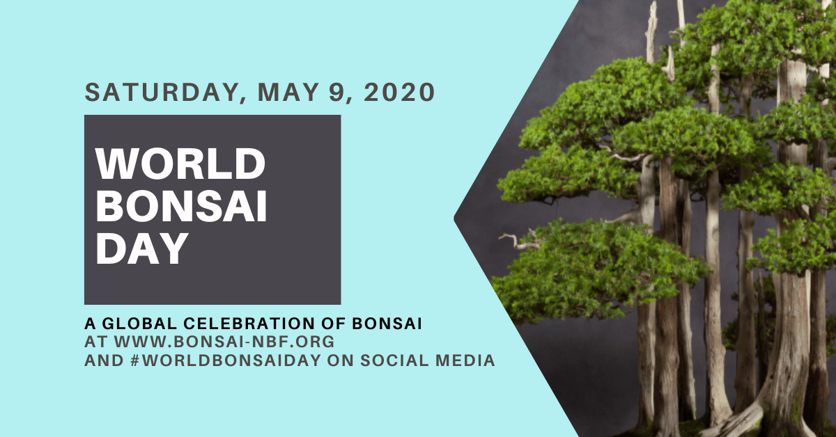 www.bonsai-nbf.org