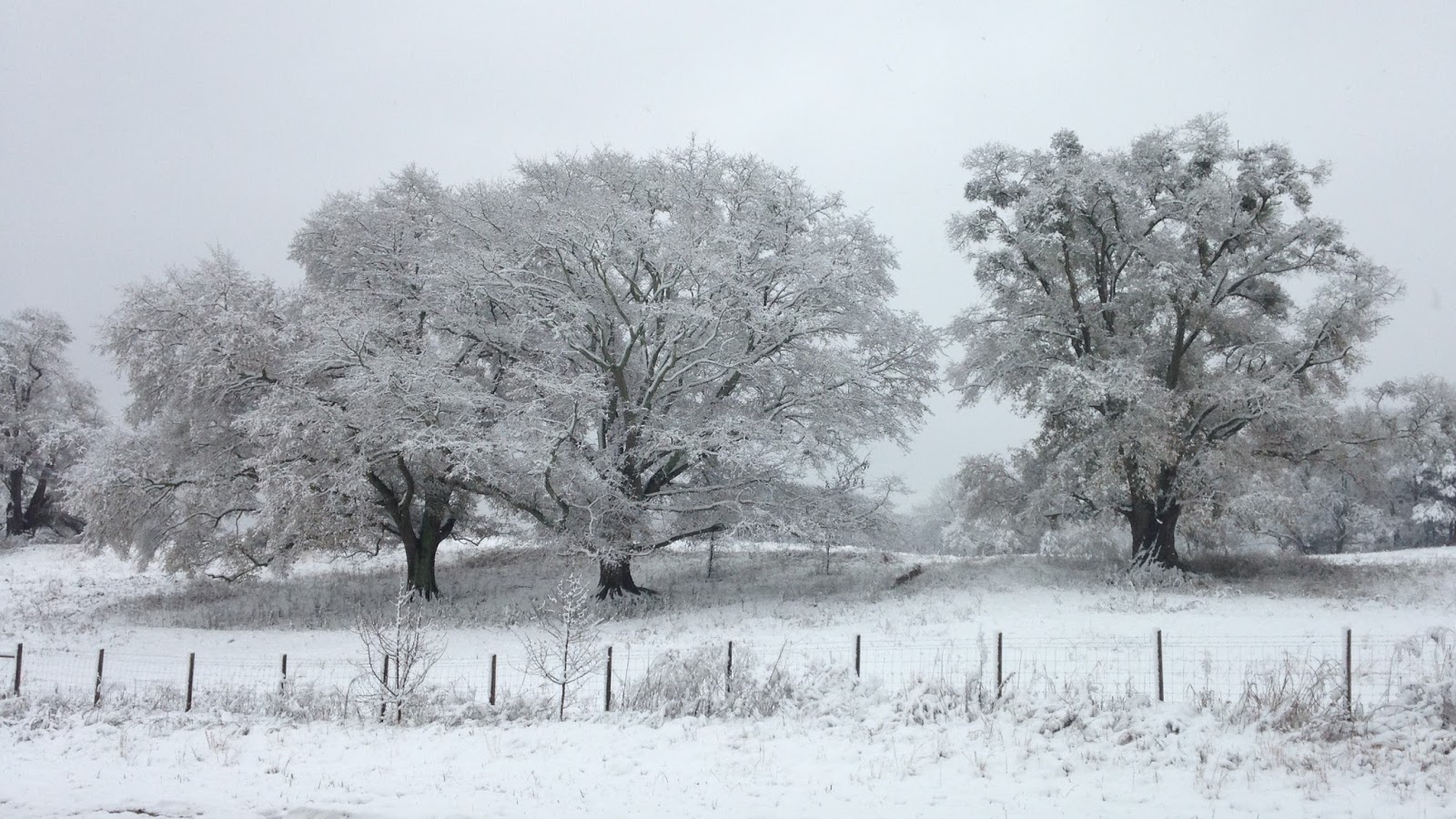 Bartow-Snow.JPG