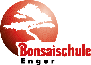 bonsaischule.de