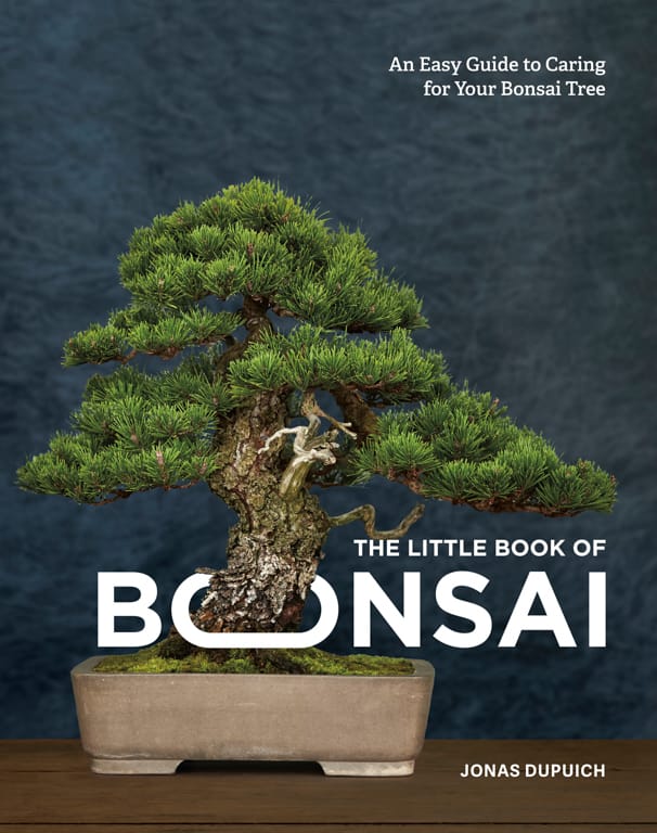 bonsaitonight.com