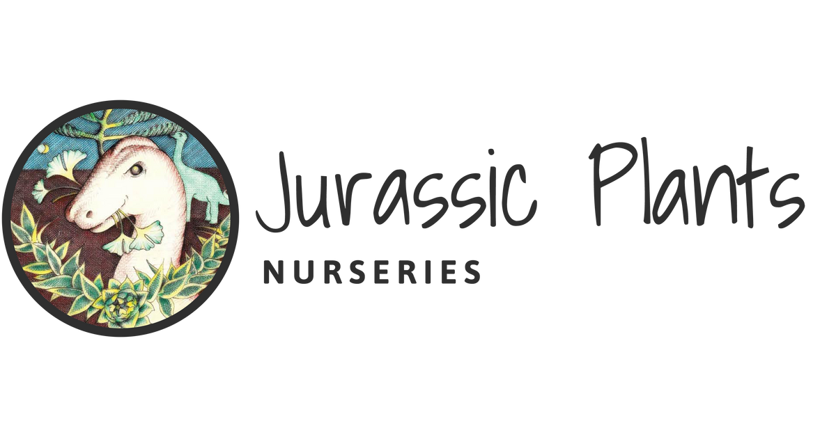 jurassicplants.co.uk