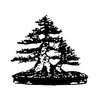 www.lotusbonsai.com