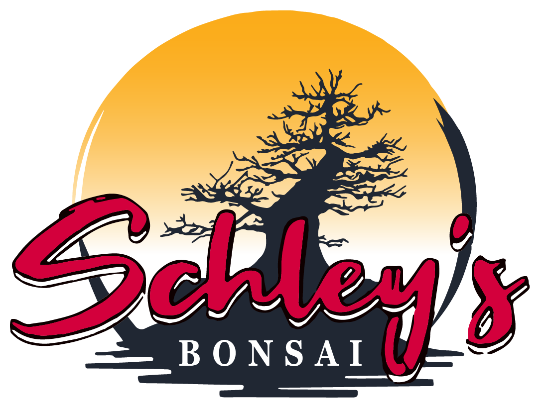 schleysbonsai.com