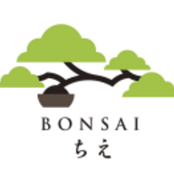 www.bonsaichie.com